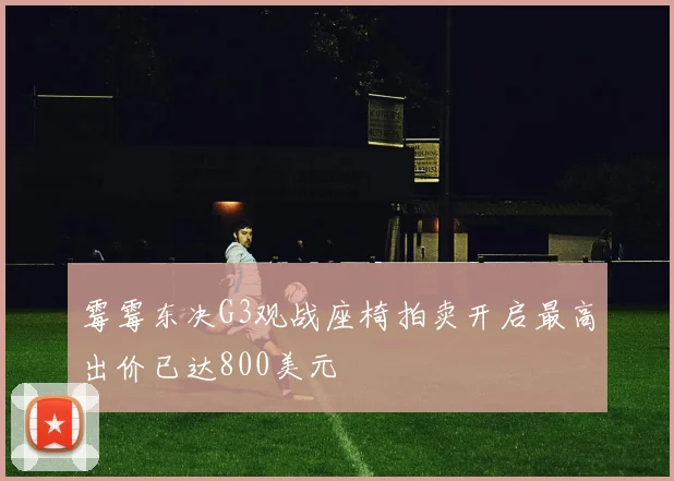 霉霉东决G3观战座椅拍卖开启最高出价已达800美元