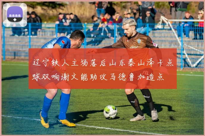 辽宁铁人主场落后山东泰山泽卡点球双响谢文能助攻马德鲁加造点